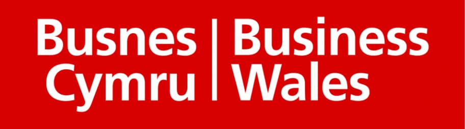 business wales logo - About - Pioneering Excellence